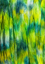 Load image into Gallery viewer, Daisy Daisy (sport)