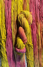 Load image into Gallery viewer, Why Pima Pony (Pima Aran)