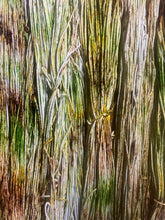 Load image into Gallery viewer, Woody (worsted)