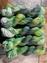 Load image into Gallery viewer, Turtle Bites