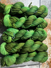 Load image into Gallery viewer, Fairy Moss (sport)