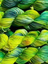 Load image into Gallery viewer, Daisy Daisy (sport)
