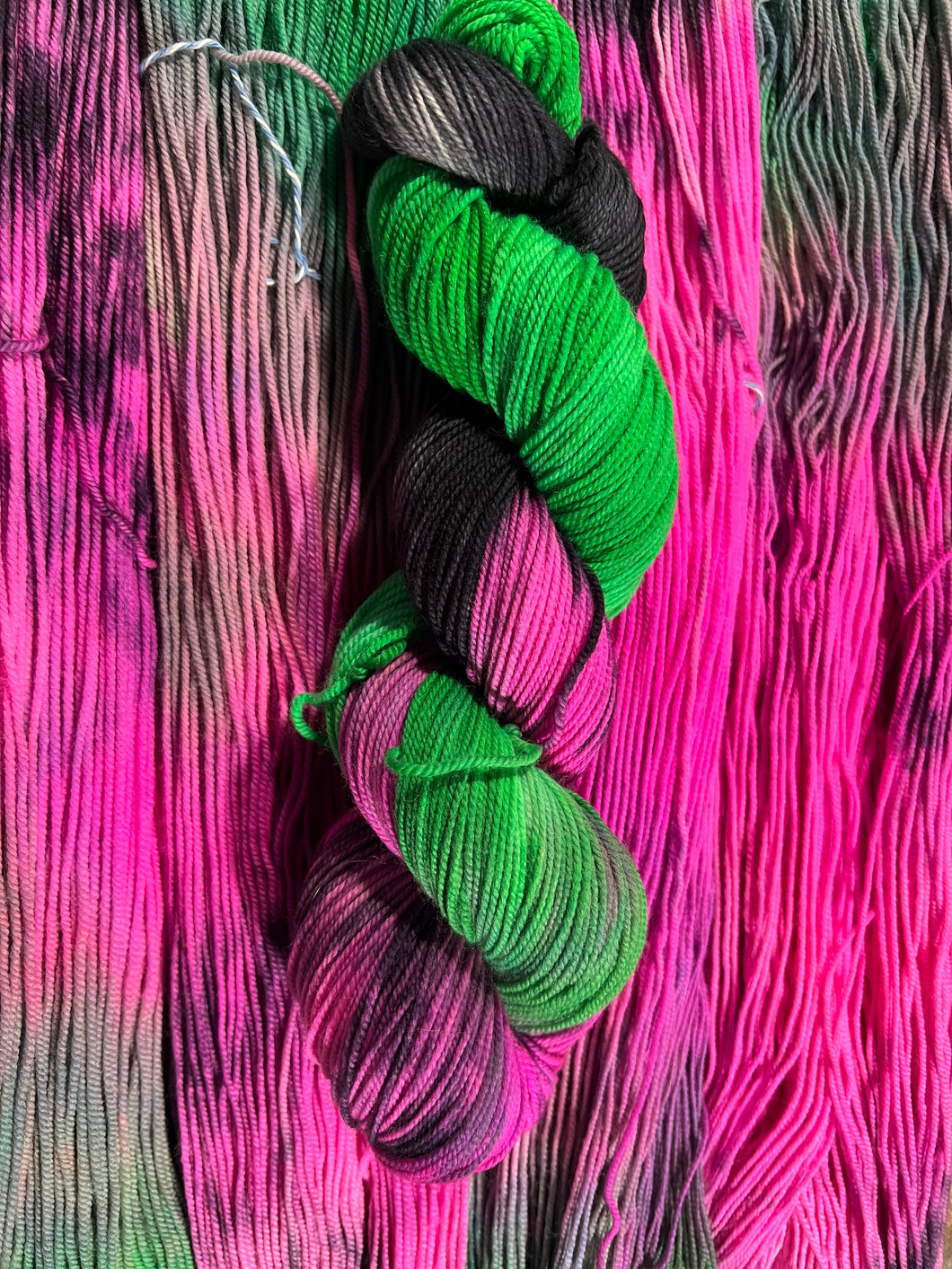 Dragons Bite (sport)