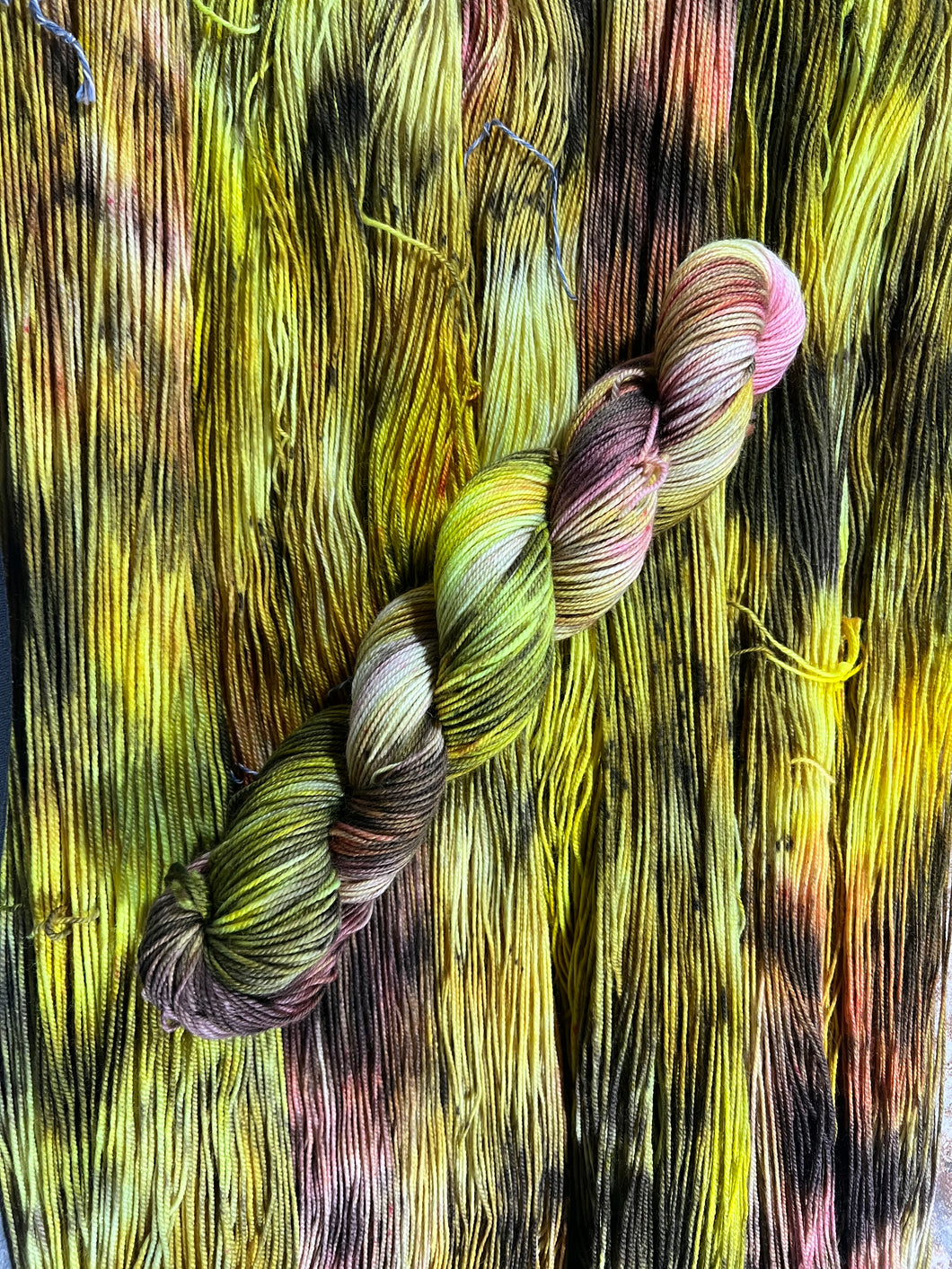 Honey Blossoms (sport)