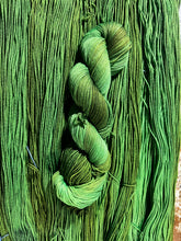 Load image into Gallery viewer, Fairy Moss (sport)
