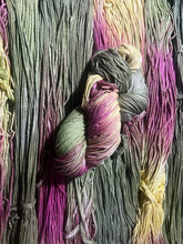 Load image into Gallery viewer, Rawr (worsted softened)
