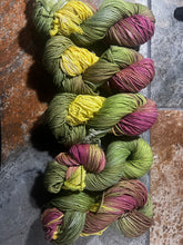 Load image into Gallery viewer, Rawr (worsted softened)
